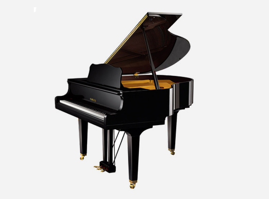 济宁JN江南琴行